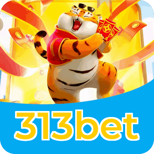 Verificação KYC 313bet